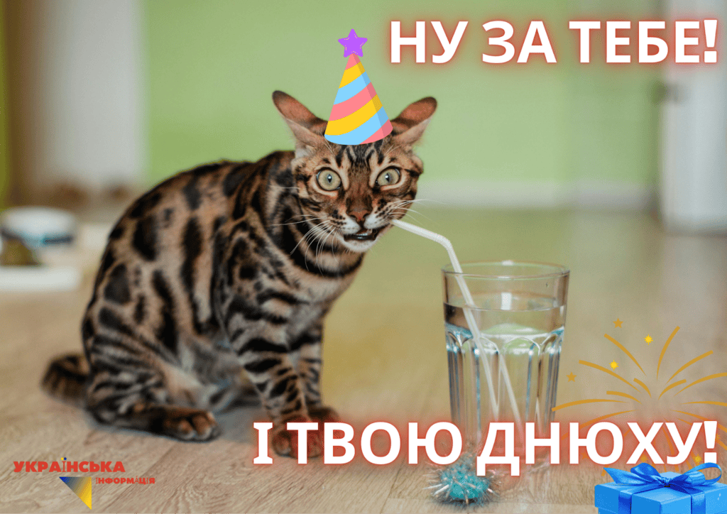 прикольная и смешная картинка поздравления с днем рождения