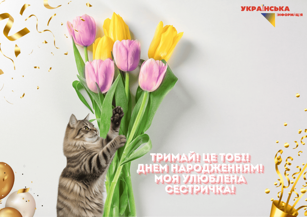 смішна картинка привітання з днем народження сестрі