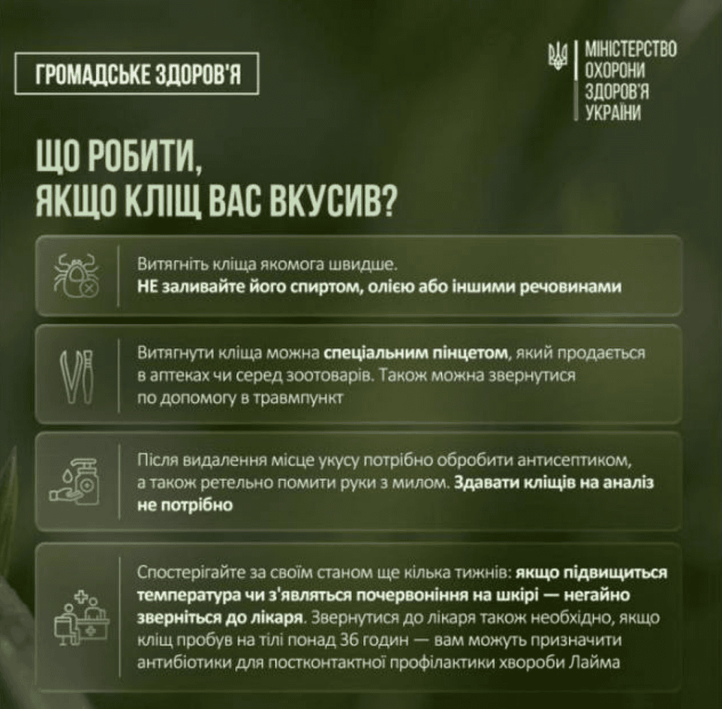 Іструкція від МОЗ 2026 що робити якщо вкусив кліщ
